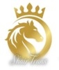 Logo depicting ШайрТранс, Частное предприятие